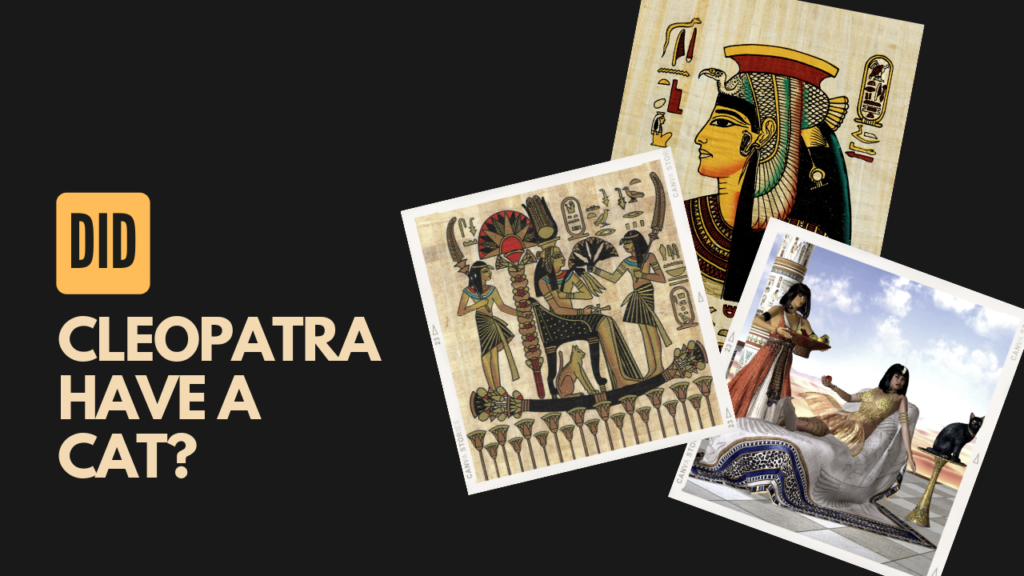 Did Cleopatra Have A Cat Give Me History